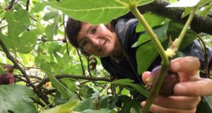 Sophie Provost Dînette et Chop Chop Nantes