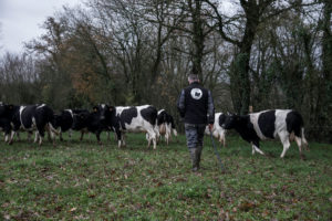 Ferme des 7 Chemins Le Dresny - Photo Paul Stefanaggi