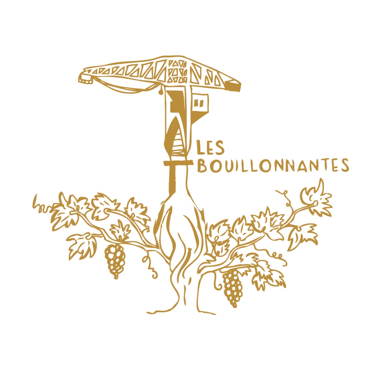 Les Bouillonnantes logo