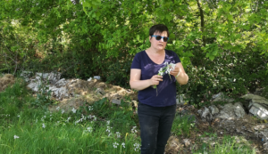 Le Jardin de Pauline Coex